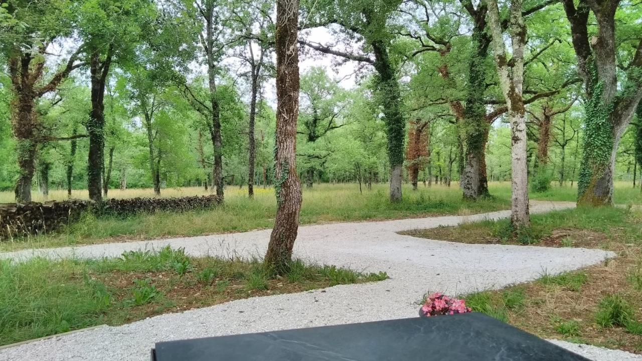 La Terrasse - A Peaceful Place In The Forest Concots 外观 照片